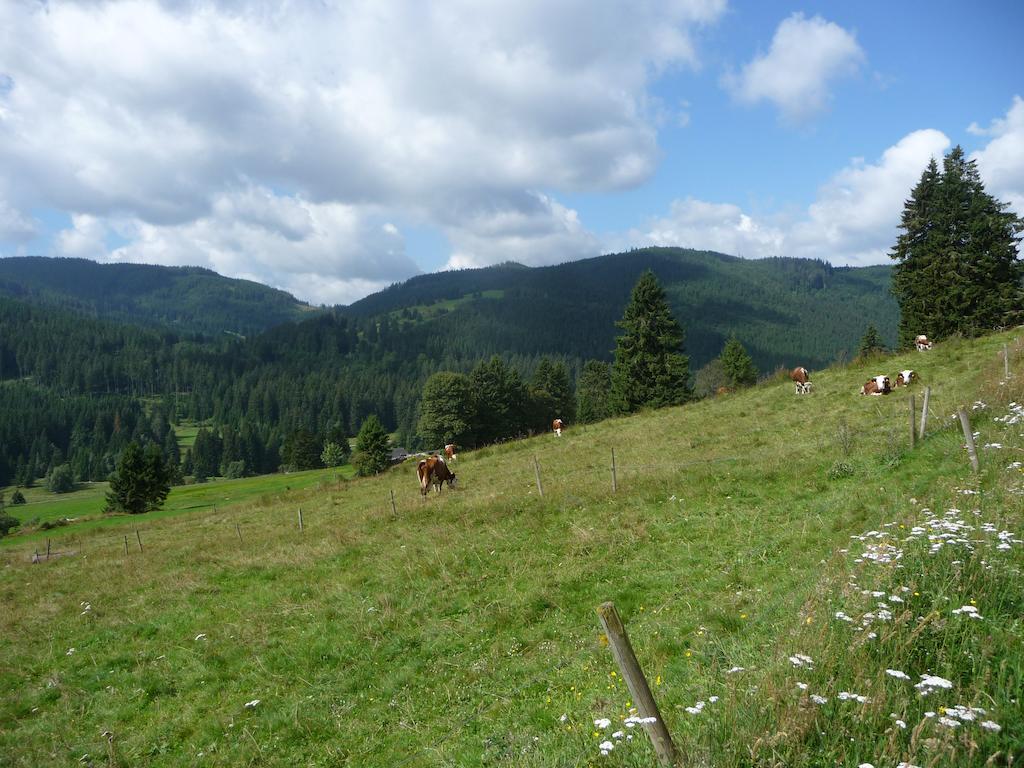 Bio- Und Wellnesshotel Alpenblick Höchenschwand Exterior foto