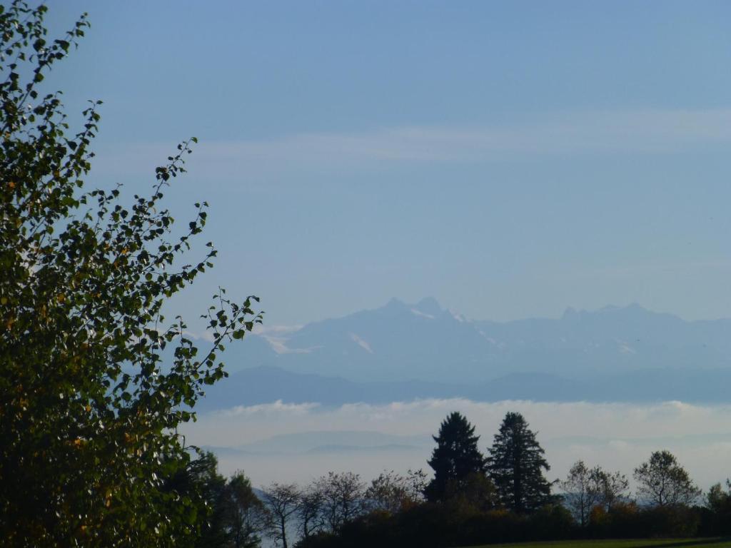Bio- Und Wellnesshotel Alpenblick Höchenschwand Exterior foto